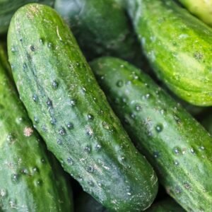Green Cucumber <p>1kg, Farm Fresh</p>